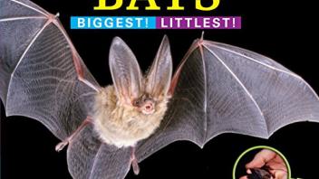 Bats: Biggest! Littlest!