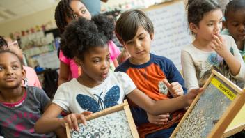 Diverse group of kids learning about bees and honey in elementary classroom