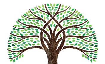 woodcut illustration of branching tree with leaves and roots