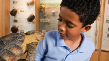 The Night Before the Museum