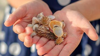 Patterns and Categorizing