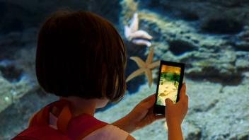 Recording Observations: Capturing and Sharing Images