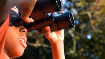 Steps in the Scientific Process