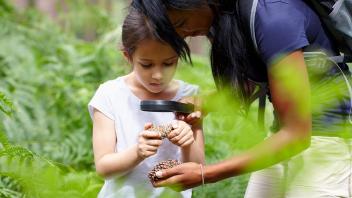 The Reading Rockets–NEA Guide to Learning at Home: Family Activities for Summer