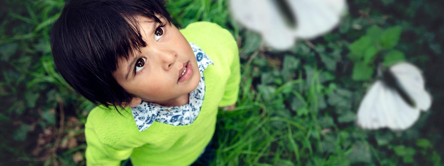 Young boy looking up at butterflies