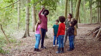 multicultural group of young kids with an adult exploring trees in the woods